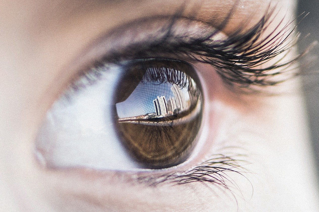eye, reflex, photography-4559763.jpg
