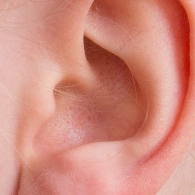 ear, auricle, listen