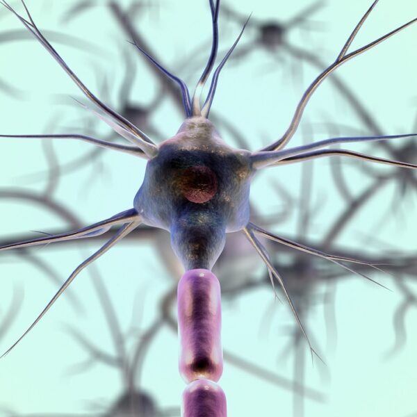neurons, neuron cell, biology