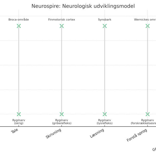 neurologisk_udviklingsmodel