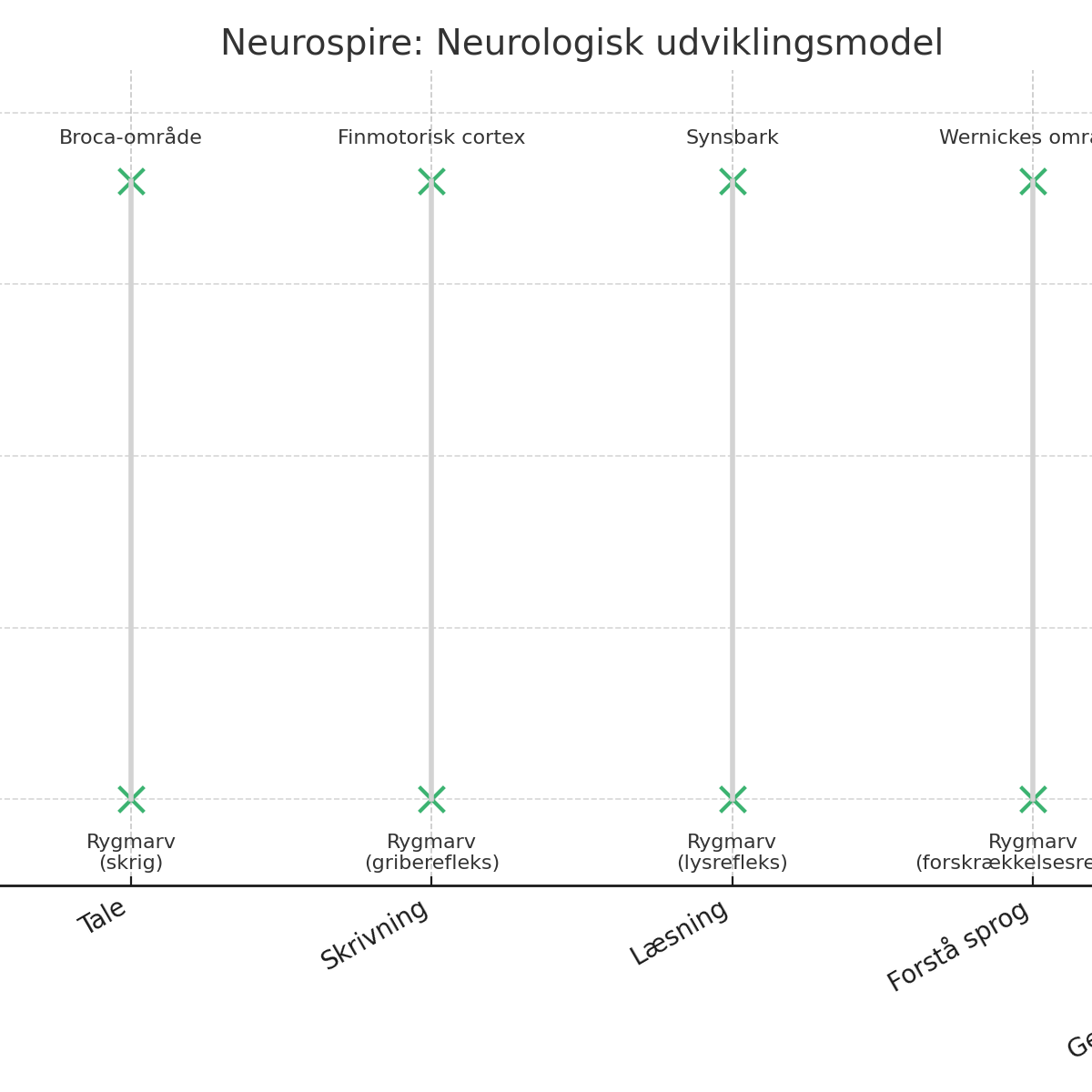 neurologisk_udviklingsmodel